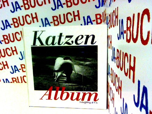 Das katzenalbum julia - das,