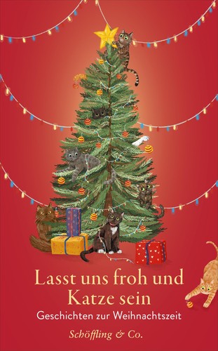 Julia bachstein lasst - julia,