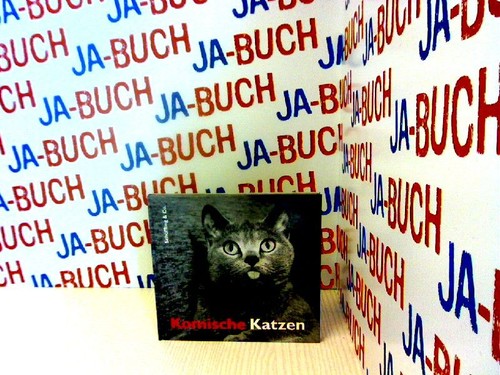 Komische katzen bachstein - katzen,