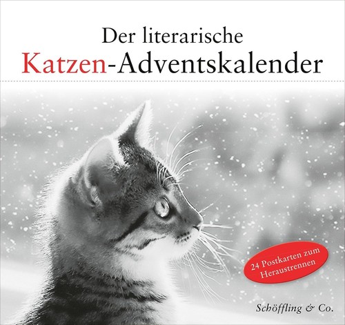 Julia bachstein der - julia,