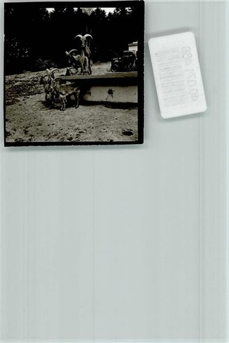 40071469 5169 heimbach - 40071469,