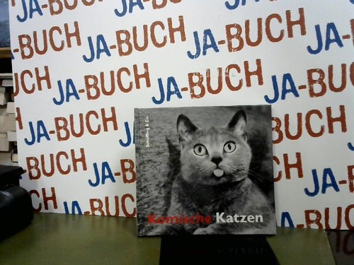 Komische katzen bachstein - komische,